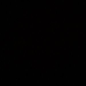 Meet your Posher, Alexia